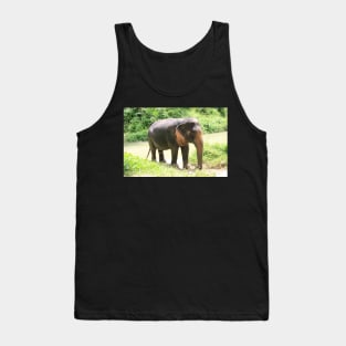 Asian elephant in Phuket, Thailand Tank Top